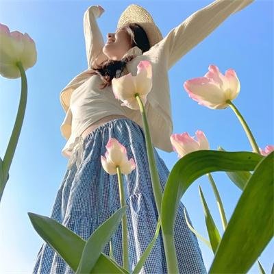 白鸟：奇迹